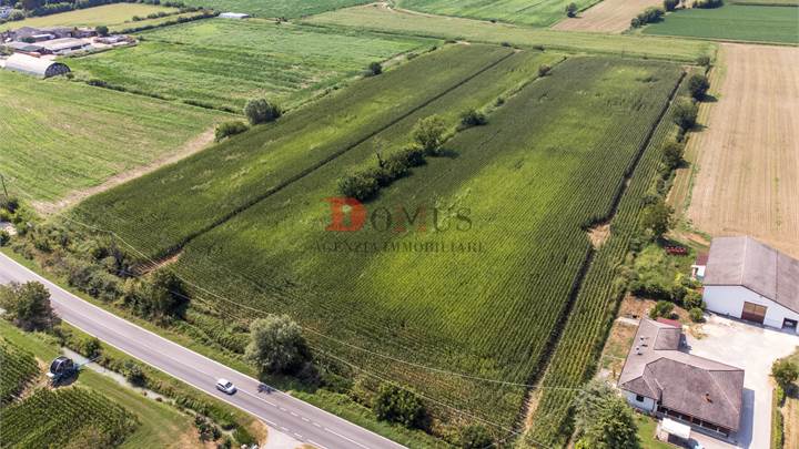 Terrain agricole dans vente à Roncoferraro