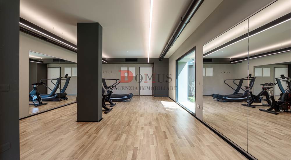 Palestra