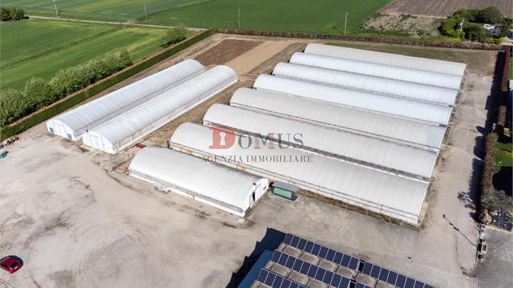 Farm for sale in Sorgà