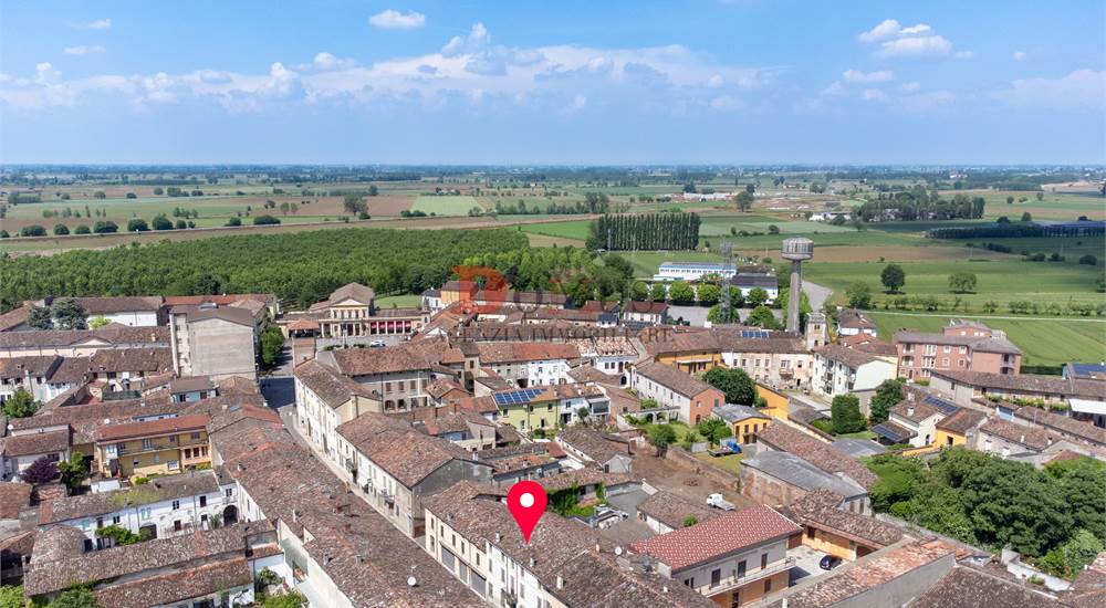Vista