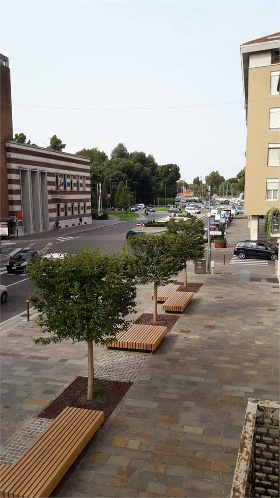 Vista